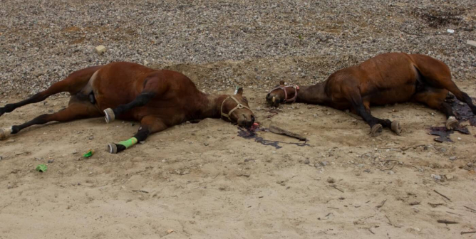 horses killed San Gabriel Valley Bike Trail