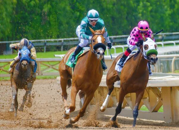 Three horses are forced to race