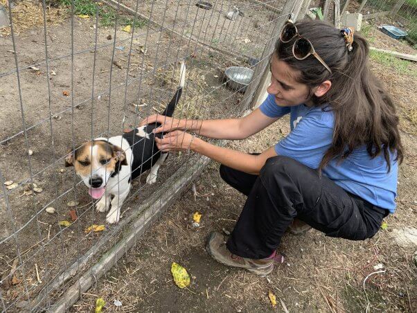 Bean getting some attention from a PETA fieldworker