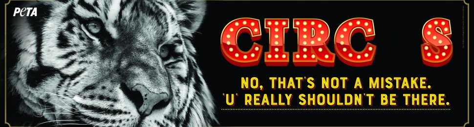 CIRC S. No, That’s Not A Mistake. ‘U’ Really Shouldn’t Be There