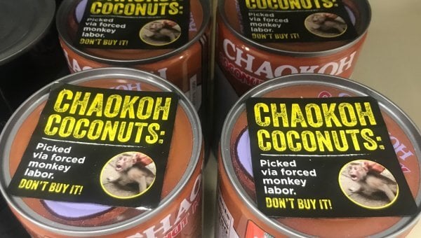 Monkeys Abused for Coconut Milk: Ask These Grocery Chains to Stop Supporting Forced Monkey Labor