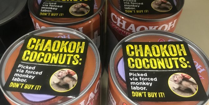 Monkeys Abused for Coconut Milk: Ask These Grocery Chains to Stop Supporting Forced Monkey Labor