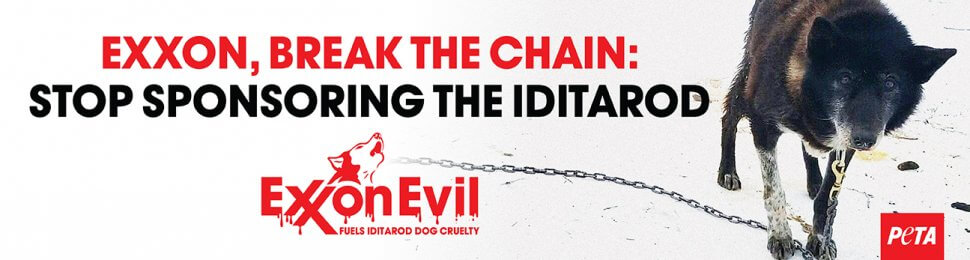 (VICTORY!) Exxon, Break The Chain: Stop Sponsoring The Iditarod