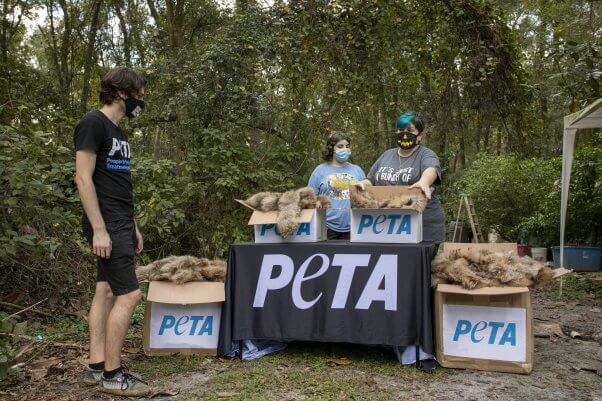 PETA Donates Fur to Sanctuary