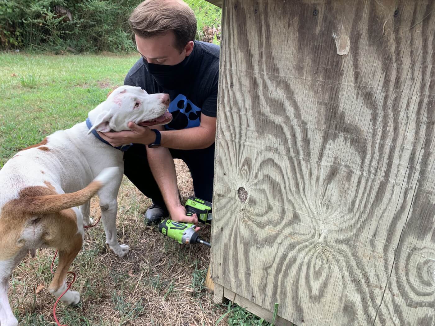 PETA fieldworkers fixes a doghouse