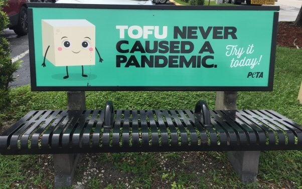 Tofu Never Caused a Pandemic Bench