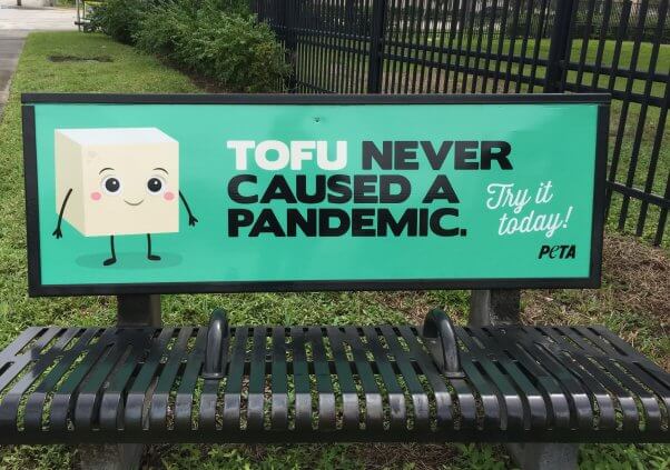 Tofu Never Caused a Pandemic Bench