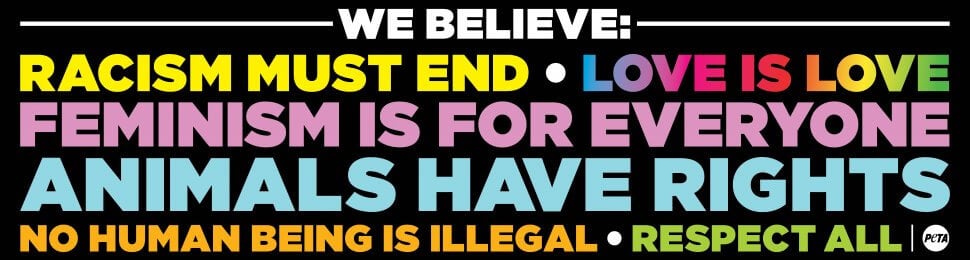 We Believe