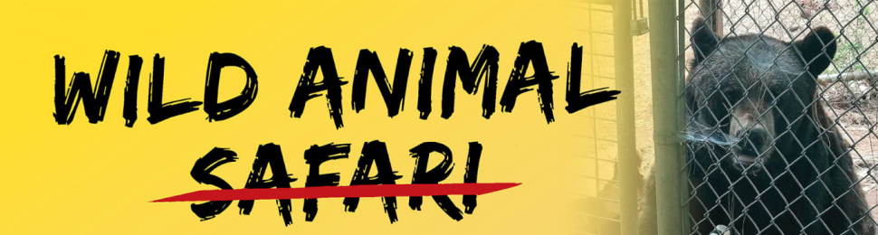 Wild Animal Suffering
