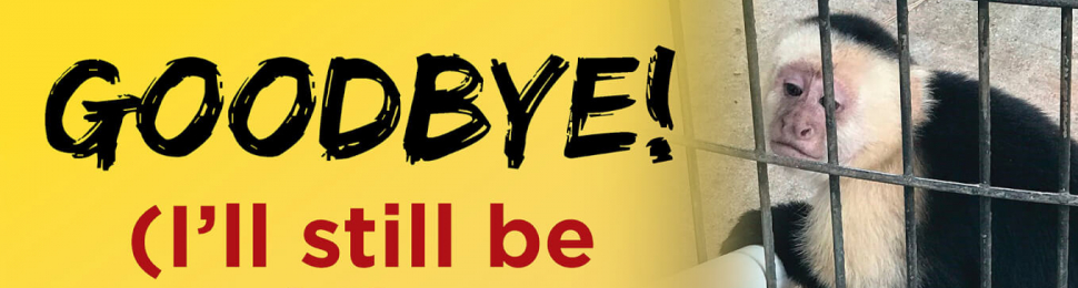 Goodbye! (I’ll Still Be Stuck Here.)