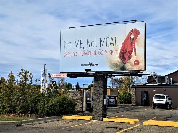 Candian Thanksvegan Billboard (3/4 view)