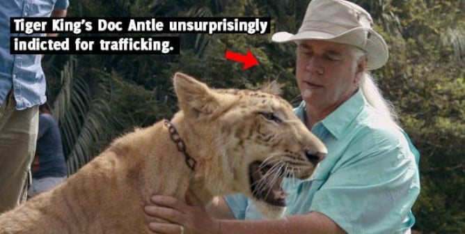 PETA Predicts the Next ‘Tiger King’ Villain to Go Down: ‘Doc’ Antle