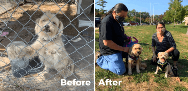 Fluffy Is on Cloud Nine With New Guardians