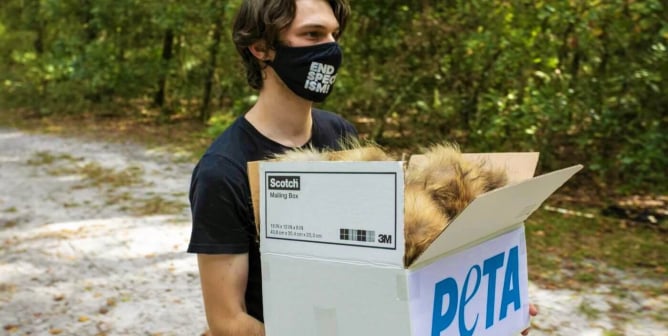 PETA donates fur to wildlife rescue