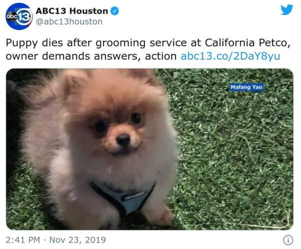 Dali died after his grooming session at Petco