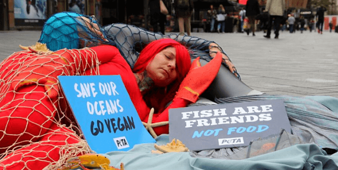 Giant PETA U.K. 'Fish' and 'Lobster' Proclaim, 'Sea Life, Not Seafood'