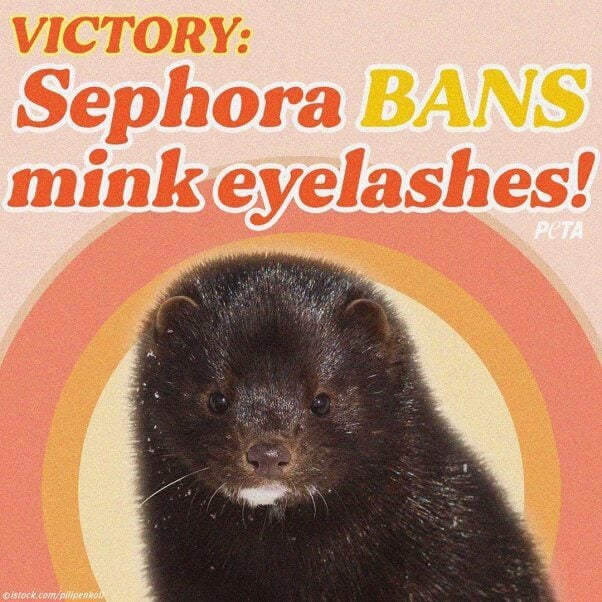 Sephora lashes victory