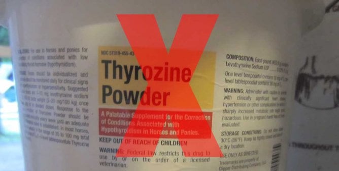 horse racing thyroxine