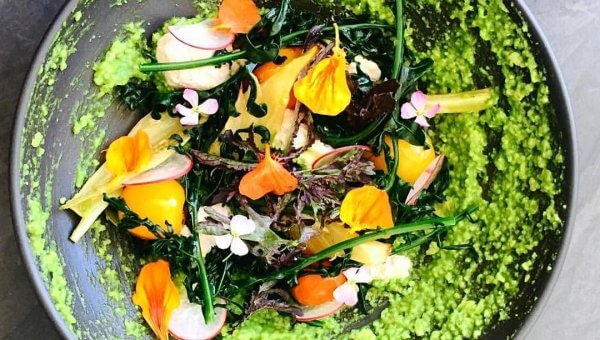 Matthew Kenney’s Kale Polenta