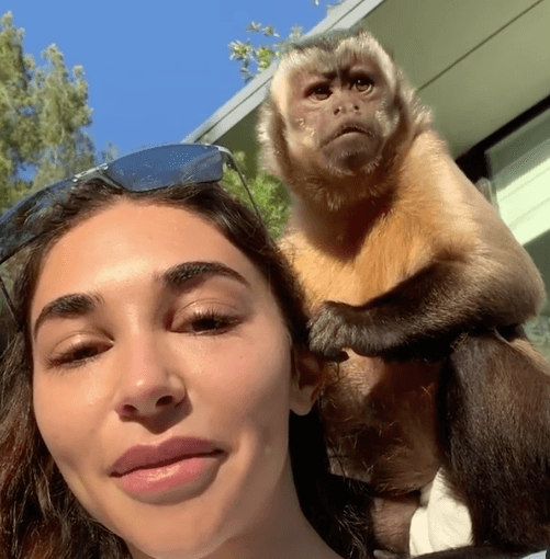 Chantel Jeffries with a capuchin monkey