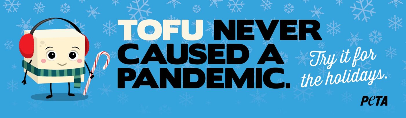 PETA's Holiday Message: Tofu Never Caused a Pandemic | PETA