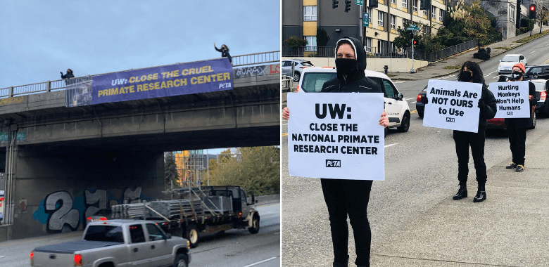 Protesters Hang Banner From Highway Overpass to Call For Closure of WaNPRC