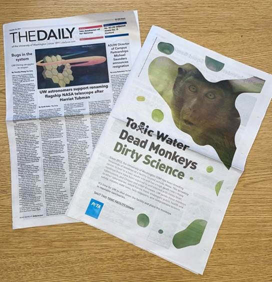 peta ad in university of washington