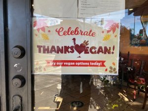 The Grain Cafe ThanksVegan