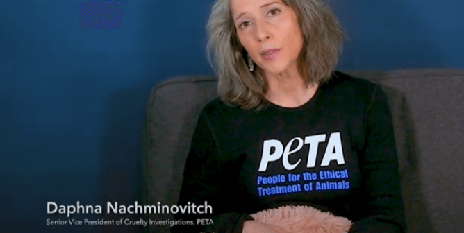 Please Stop Crating Dogs