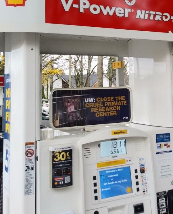 Gas station ad calling for the closure of the University of Washington primate research center