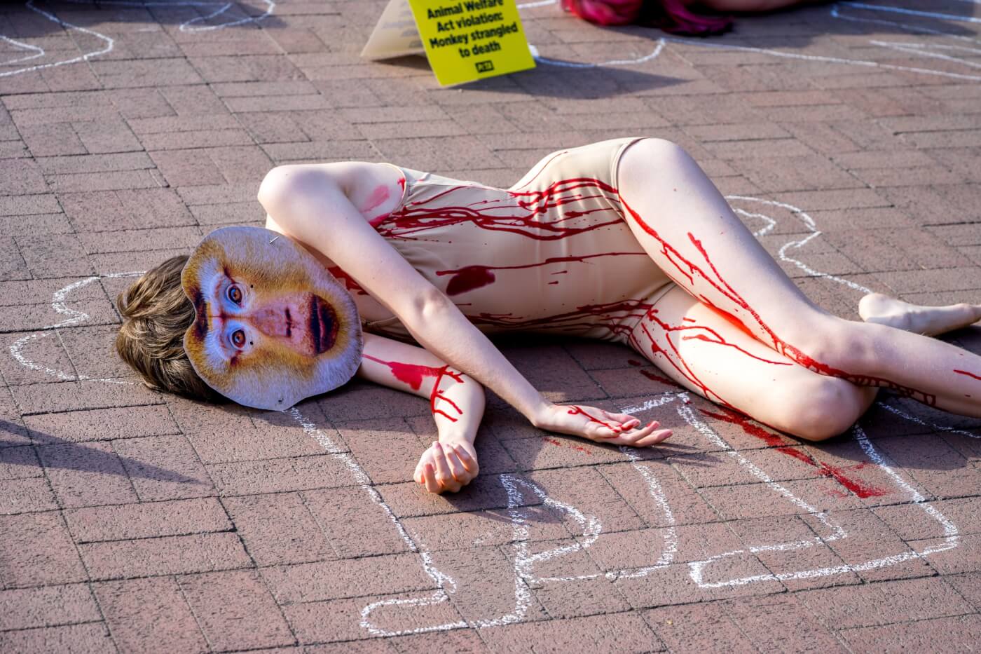 PETA protestor poses as a dead rhesus macaque outside the deadly primate lab at the University of Washington