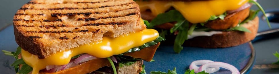 Vegan grilled cheese with cheddar