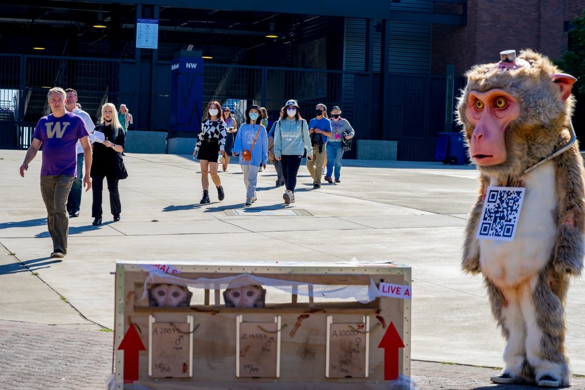 A crate of "shrieking monkeys" on the UW campus