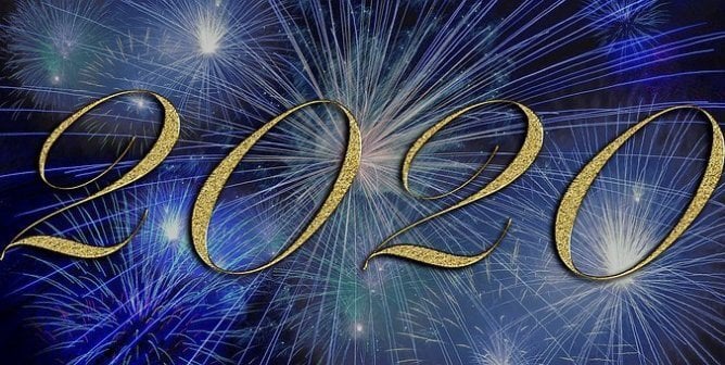 2020 in Review: How TeachKind Rallied for Students, Educators, and Animals