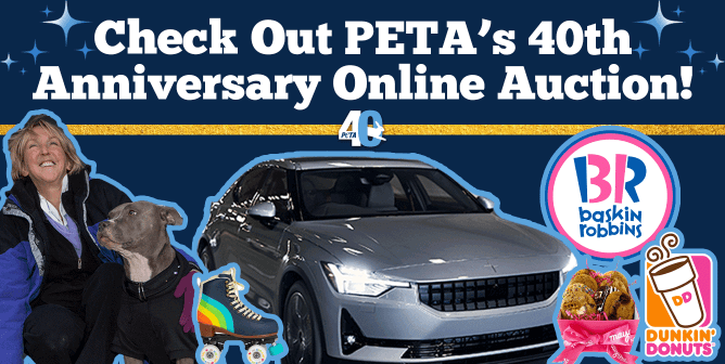 PETA's 40th anniversary silent auction featured items