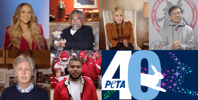 PETA 40th anniversary celeb recap