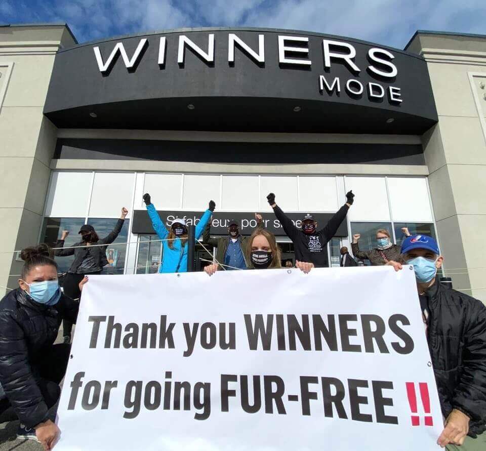 PETA Names Top Animal Rights Activists of 2020 | PETA PETA Names Top Animal Rights Activists of 2020 | PETA