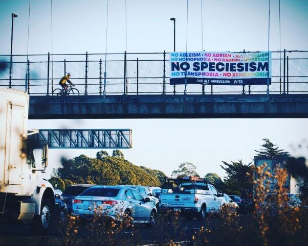 Berkeley, CA, "no speciesism" banner drop