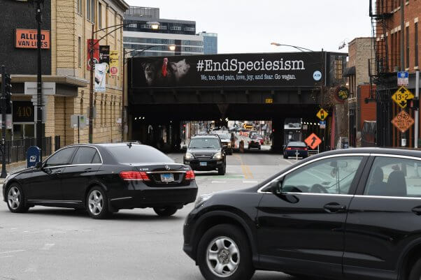 End Speciesism Billboard