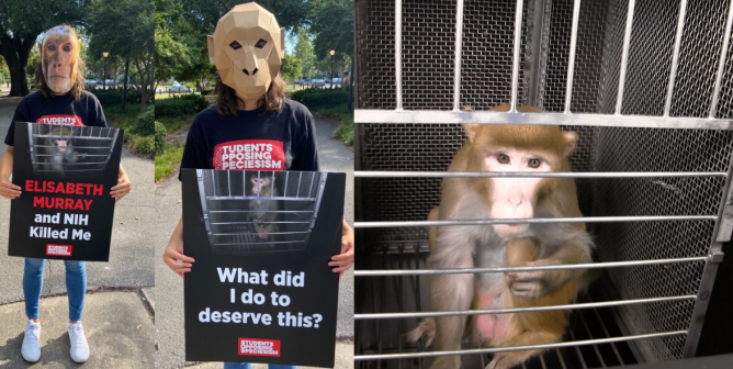 PETA Takes On Industries That Exploit Animals | Campaigns