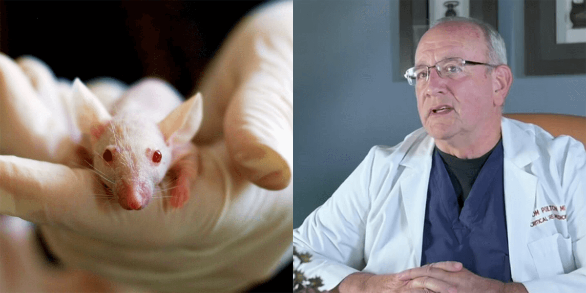 WATCH: Families Share the True Cost of Animal Research | PETA