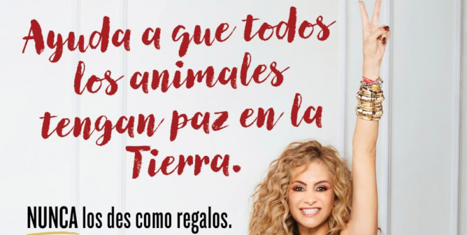 Paulina Rubio: Ayuda A Que Todos Los Animales Tengan Paz En La Tierra