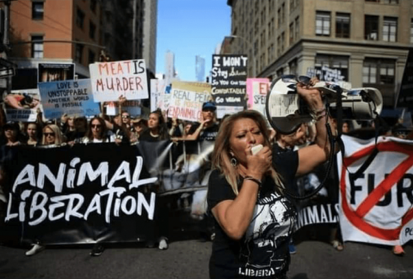 Rachel at a fur protest