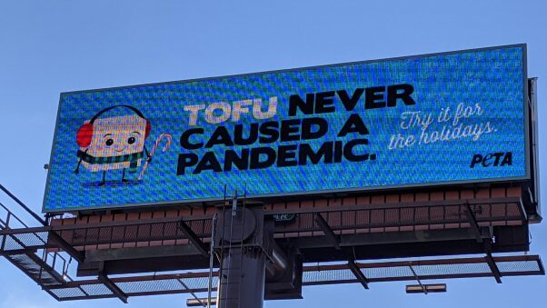 Tofu Never Caused a Pandemic, Holiday, Winter, Billboard, Ad, Savannah, Georgia