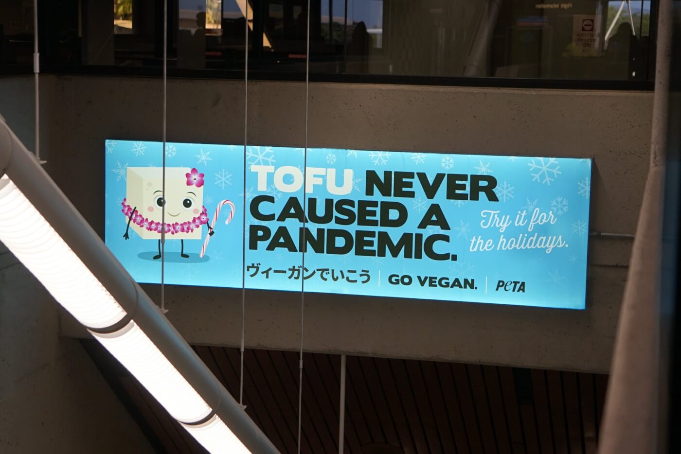 'Tofu Never Caused a Pandemic' at the Honolulu Airport