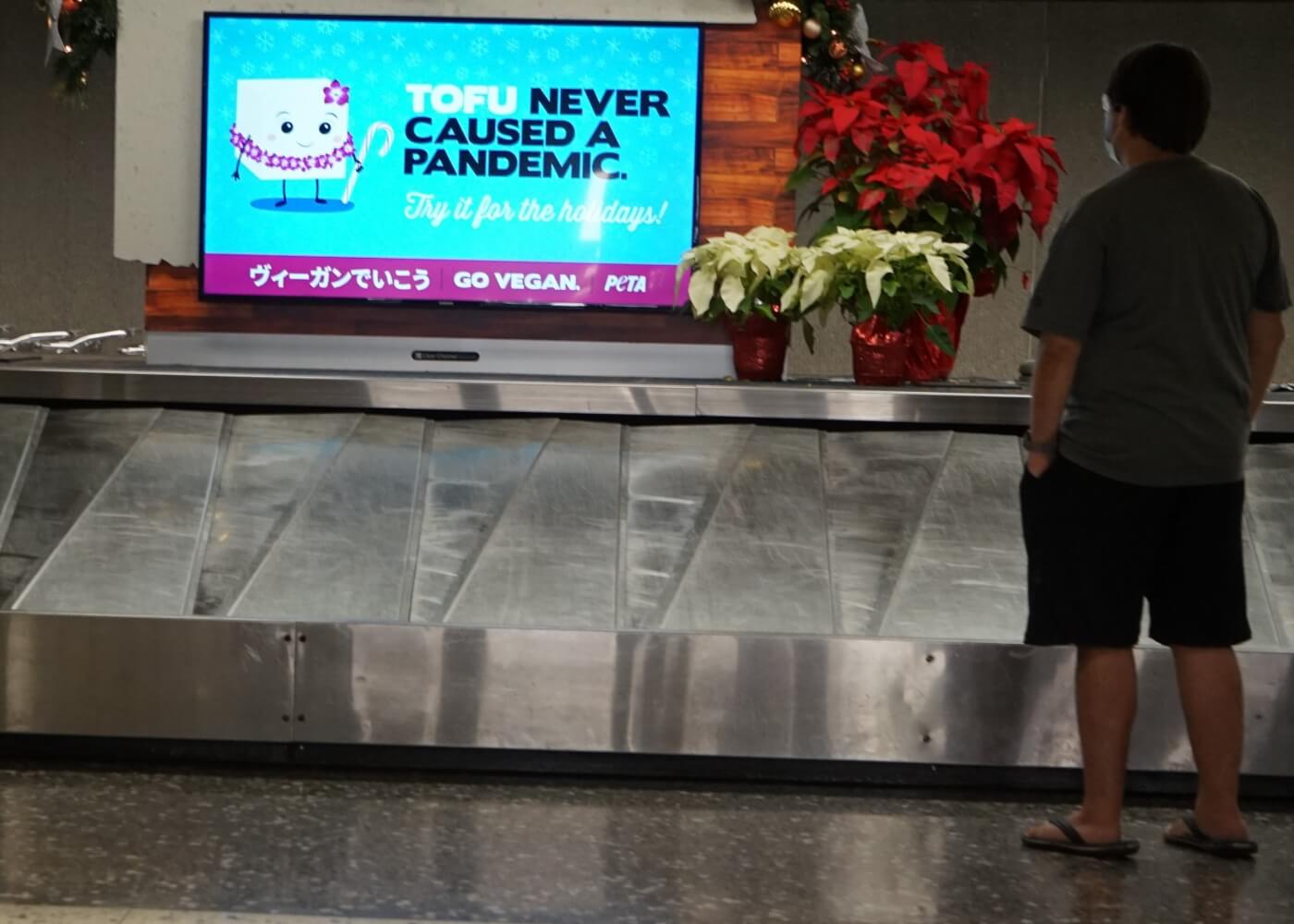 'Tofu Never Caused a Pandemic' at the Honolulu Airport