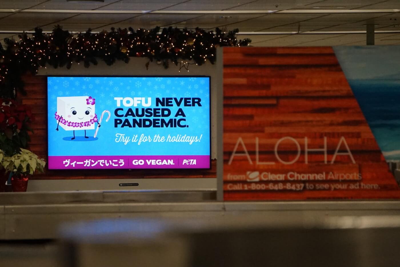 'Tofu Never Caused a Pandemic' at the Honolulu Airport
