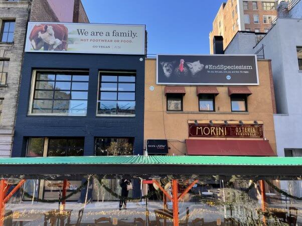 Two PETA Billboards in New York City