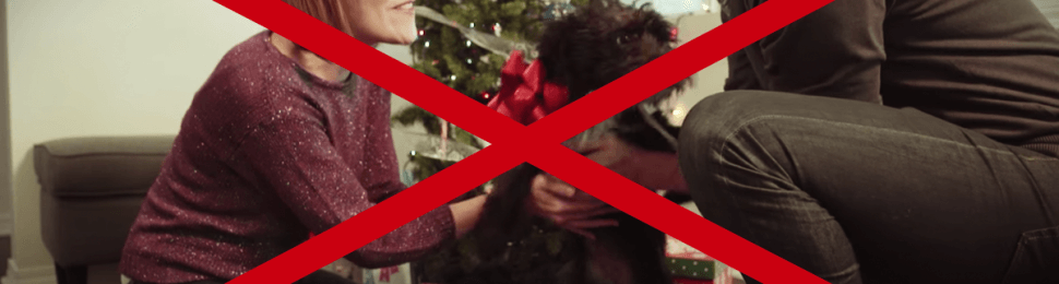 Gift giving animals for the holidays