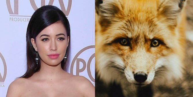 Christian Serratos, fox